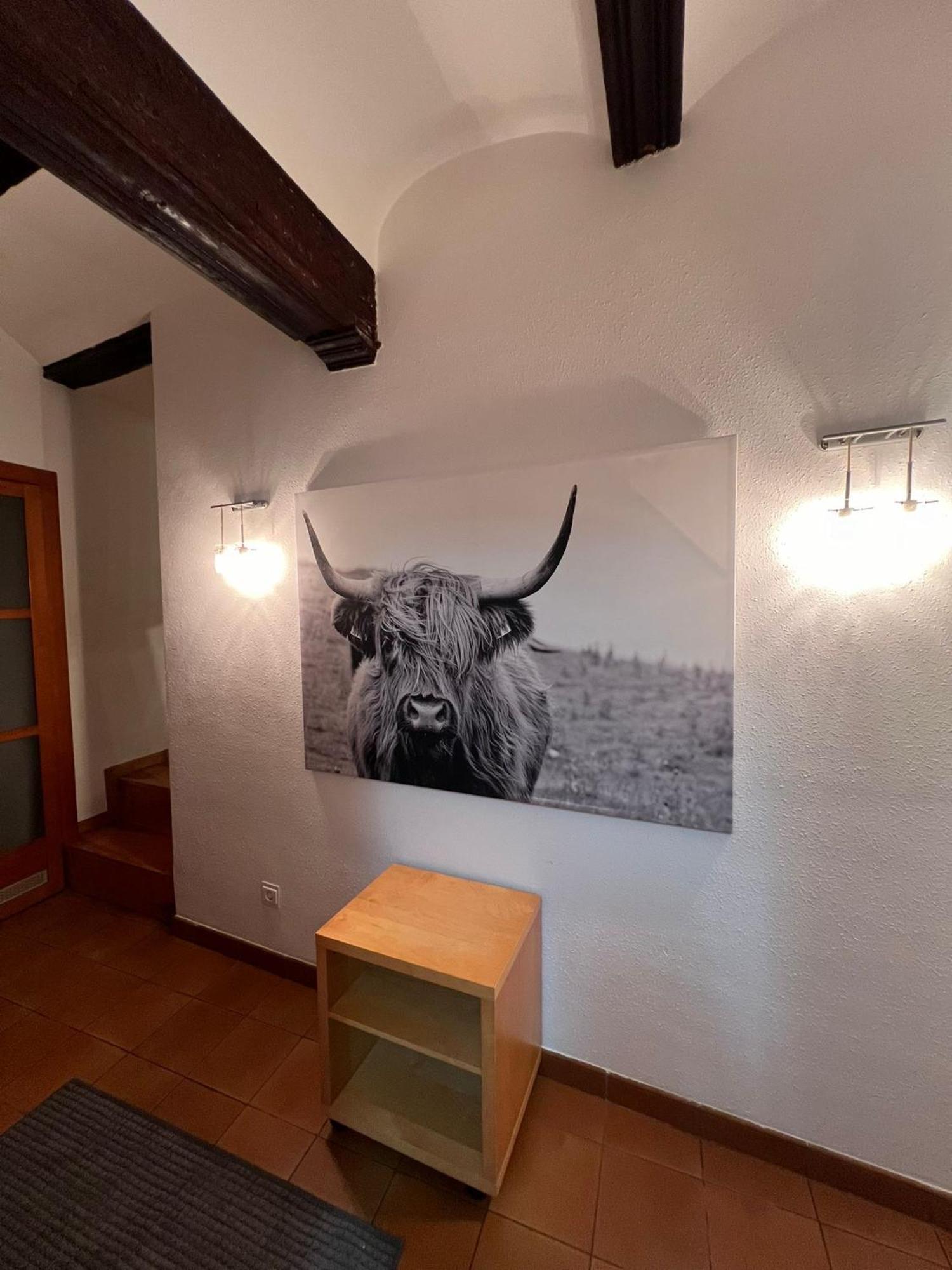 Encantador Apartamento En Estella-Lizarra Екстер'єр фото
